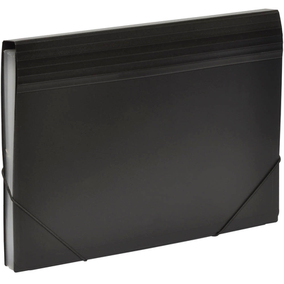 Artikelbild 4 für FolderSys Fächermappe 12 Fächer schwarz, 1 St., Artikelnummer 642074