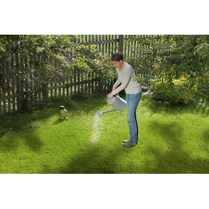 Artikelbild 4 für SUBSTRAL® Magisches Rasenpflaster Rasensamen 1,0 kg, Artikelnummer 368967