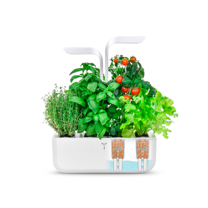 Artikelbild 3 für Véritable® Kräutertopf-Set CLASSIC weiß, 1 St., Artikelnummer 235386