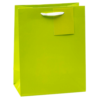 Artikelbild 4 für TSI Geschenktüten TRENDFARBEN dunkelrot, lia, grün, hellblau, gelb, rosa 18,0 x 23,0 cm, 12 St., Artikelnummer 651629