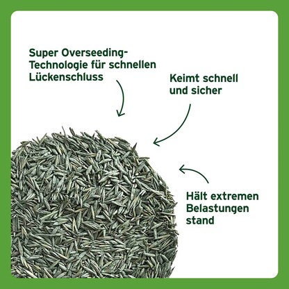 Artikelbild 3 für SUBSTRAL® Sport & Spiel Rasensamen 2,0 kg, Artikelnummer 368867