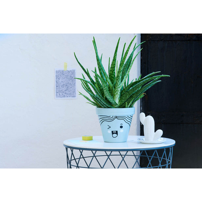 Artikelbild 9 für edding 750 Glanz Lackmarker kupfer 2,0 - 4,0 mm, 1 St., Artikelnummer 898150