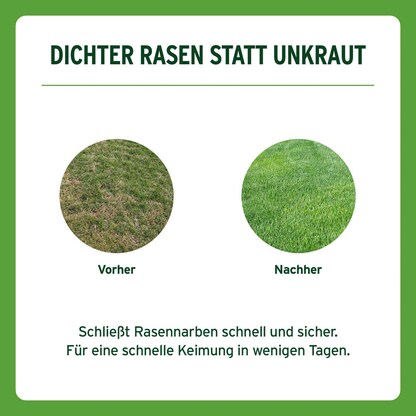 Artikelbild 8 für SUBSTRAL® Sport & Spiel Rasensamen 2,0 kg, Artikelnummer 368867