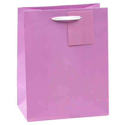 Artikelbild 7 für TSI Geschenktüten TRENDFARBEN dunkelrot, lia, grün, hellblau, gelb, rosa 18,0 x 23,0 cm, 12 St., Artikelnummer 651629