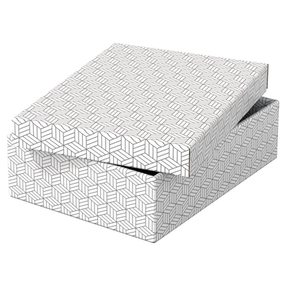Artikelbild 4 für Esselte Home Aufbewahrungsboxen 8,0 l weiß 26,5 x 36,0 x 10,0 cm, 3 St., Artikelnummer 652283