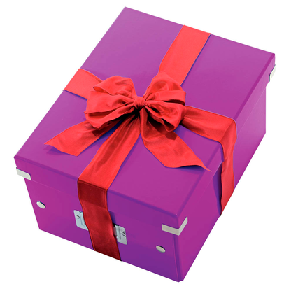 Artikelbild 5 für LEITZ Click & Store Aufbewahrungsbox 16,7 l violett 28,1 x 36,9 x 20,0 cm, 1 St., Artikelnummer 211065