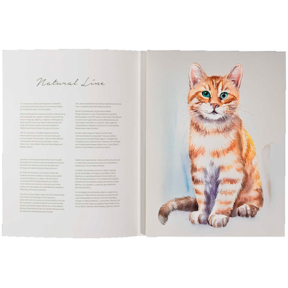 Artikelbild 6 für HAHNEMÜHLE Malblock Bamboo 24,0 x 32,0 cm 265 g/qm, 25 Blatt, 1 Block, Artikelnummer 708796