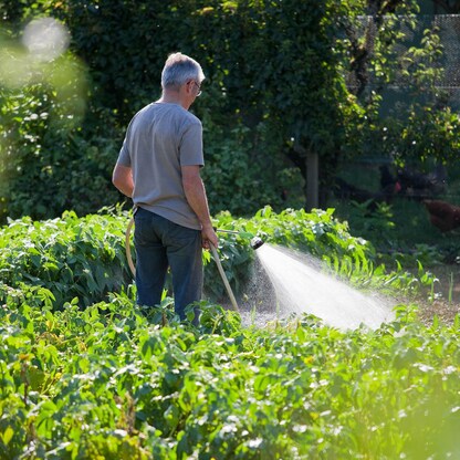 Artikelbild 8 für relaxdays Gießstab, Artikelnummer 439473