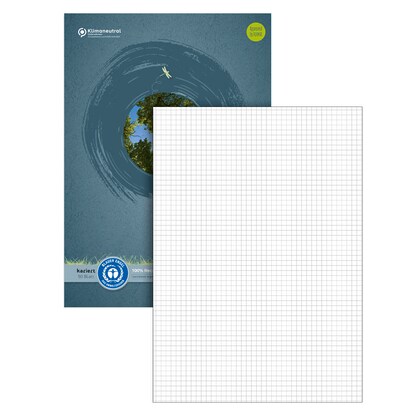 Artikelbild für Staufen® Briefblock green DIN A4 kariert, 1 Block, Artikelnummer 421224