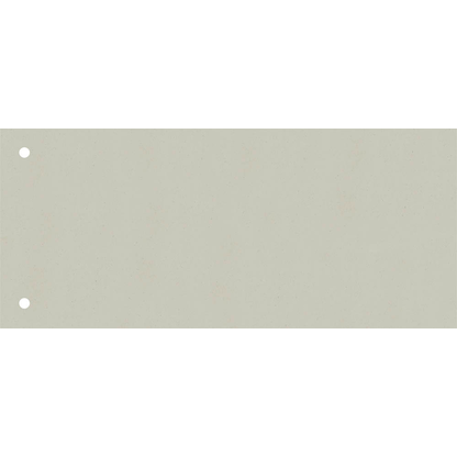 Artikelbild für BRUNNEN Trennstreifen grau, 180 g/qm Karton 24,0 x 10,5 cm, 10 St., Artikelnummer 683346