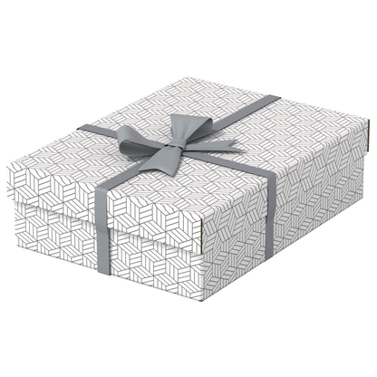 Artikelbild 3 für Esselte Home Aufbewahrungsboxen 8,0 l weiß 26,5 x 36,0 x 10,0 cm, 3 St., Artikelnummer 652283