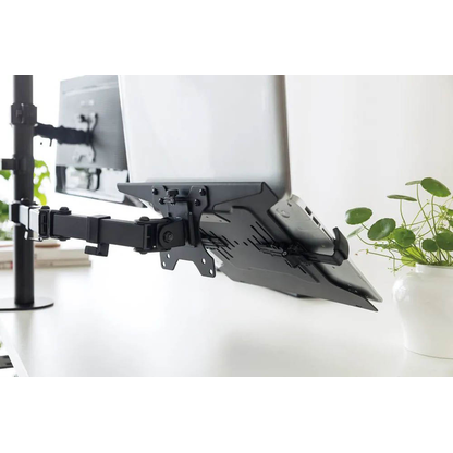 Artikelbild für Neomounts Laptop-Halterung NOTEBOOK-V200 schwarz für 1 Notebook, Artikelnummer 564041