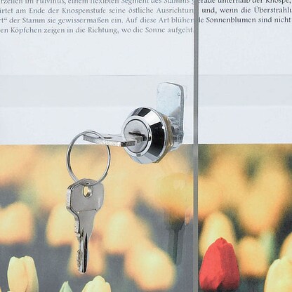 Artikelbild 6 für FRANKEN Schaukasten X-tra!Line silber 6x DIN A4 68,0 x 3,0 x 73,0 cm, 1 St., Artikelnummer 534053