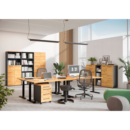 Artikelbild 10 für GERMANIA Agenda Home höhenverstellbarer Schreibtisch grandson-eiche rechteckig, T-Fuß-Gestell schwarz 160,0 x 80,0 cm, Artikelnummer 385282