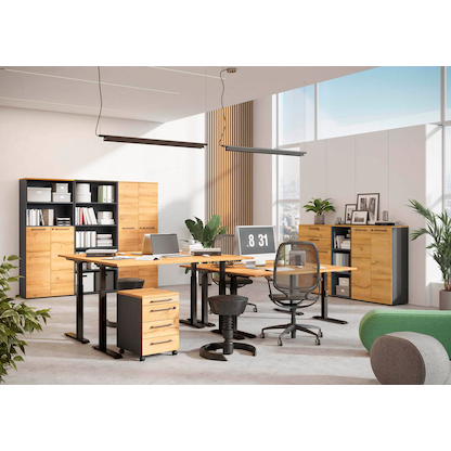 Artikelbild 11 für GERMANIA Agenda Home höhenverstellbarer Schreibtisch grandson-eiche rechteckig, T-Fuß-Gestell schwarz 160,0 x 80,0 cm, Artikelnummer 385282