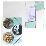 Artikelbild 1 für PAGNA Eckspanner Cute DIN A4 Bären, 1 St., Artikelnummer 609147