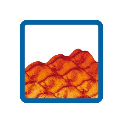 Artikelbild 9 für AKTION: herlitz Sichthüllen DIN A4 farbsortiert genarbt 0,19 mm, 10 St., Artikelnummer 794617