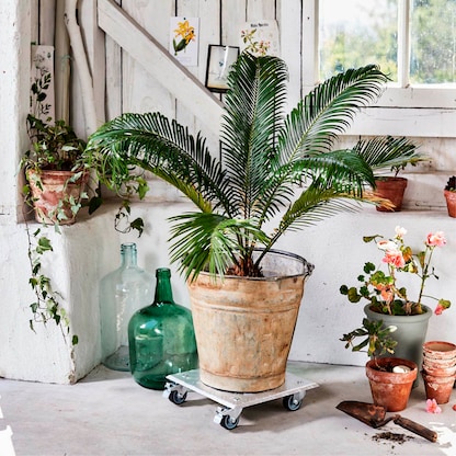 Artikelbild 3 für WAGNER® design yourself Pflanzenroller GH 7004 Metall silber quadratisch 28,0 x 7,1 cm, 1 St., Artikelnummer 418719