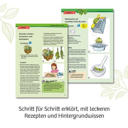 Artikelbild 3 für KOSMOS Experimentierkasten Kräuter-Garten mehrfarbig, Artikelnummer 820694