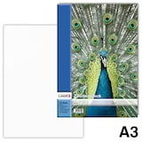 Artikelbild 1 für LANDRÉ® Zeichenblock DIN A3 100 g/qm, 20 Blatt, 1 Block, Artikelnummer 486314