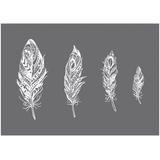 Artikelbild 1 für Rayher Siebdruckschablone 4 Federn grau, Artikelnummer 122397