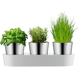 Artikelbild 1 für WMF Kräutertopf-Set Gourmet silber, 5-tlg., 3 St., Artikelnummer 823430