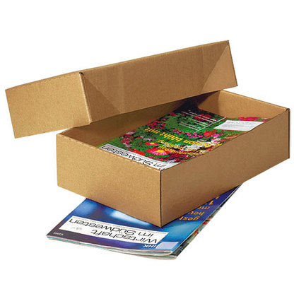 Artikelbild für Nestler Kartons mit abnehmbarem Deckel 33,8 x 23,8 x 16,7 cm, 20 St., Artikelnummer 419176