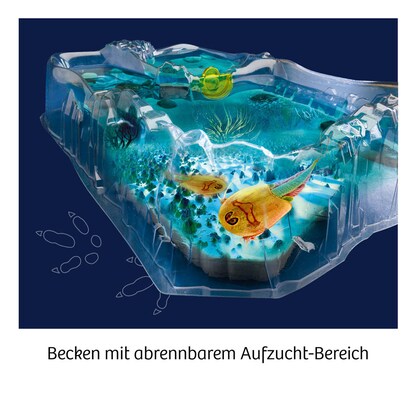 Artikelbild 2 für KOSMOS Experimentierkasten Fun Science Triops züchten mehrfarbig, Artikelnummer 820734