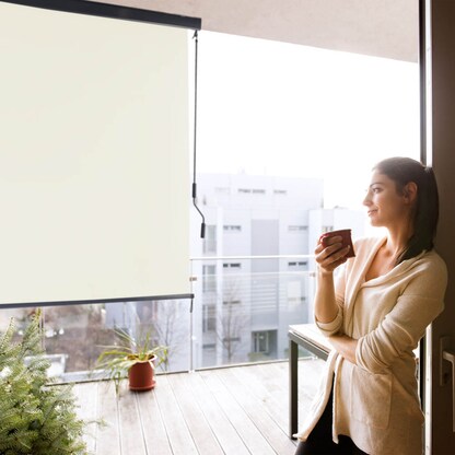 Artikelbild 6 für relaxdays Seitenmarkise beige 250,0 x 160,0 cm, Artikelnummer 768967