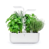 Artikelbild 1 für Véritable® Kräutertopf-Set CLASSIC weiß, 1 St., Artikelnummer 235386