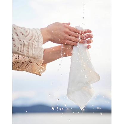 Artikelbild 3 für pandoo Küchenrolle 1-lagig, 1 Rolle, Artikelnummer 933130