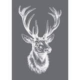 Artikelbild 1 für Rayher Siebdruckschablone Hirsch grau, Artikelnummer 122741