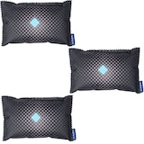 Artikelbild 1 für WENKO Auto-Entfeuchter schwarz, 3x 350,0 g, Artikelnummer 817467