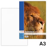 Artikelbild 1 für LANDRÉ® Zeichenblock DIN A3 100 g/qm, 10 Blatt, 1 Block, Artikelnummer 486302