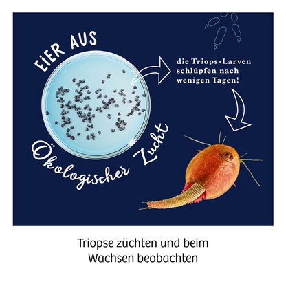Artikelbild 3 für KOSMOS Experimentierkasten Fun Science Triops züchten mehrfarbig, Artikelnummer 820734