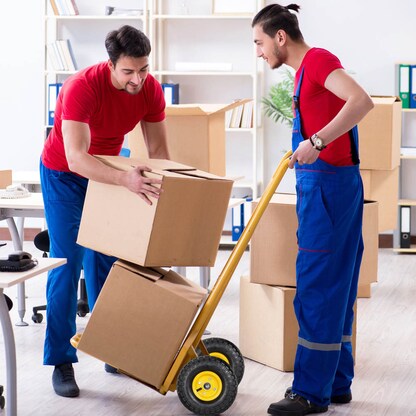 Artikelbild 4 für relaxdays Sackkarrenräder luftbereift schwarz, gelb Stahl Felgen, Achse 1,6 cm, Artikelnummer 451957