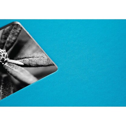 Artikelbild 6 für hama Fotoalbum Fine Art neutral 30,0 x 30,0 cm, 100 weiße Seiten, Artikelnummer 922474