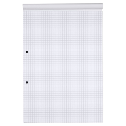 Artikelbild 3 für Staufen® Briefblöcke Style 2-fach-Lochung DIN A4 kariert, 1 St., Artikelnummer 453096