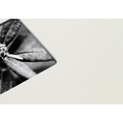 Artikelbild 7 für hama Fotoalbum Fine Art neutral 30,0 x 30,0 cm, 100 schwarze Seiten, Artikelnummer 922498