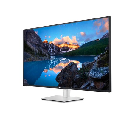 Artikelbild 3 für DELL UltraSharp U4323QE Monitor 108,0 cm (43,0 Zoll) schwarz, Artikelnummer 168037