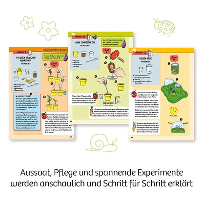 Artikelbild 3 für KOSMOS Experimentierkasten Mein erstes Gewächshaus mehrfarbig, Artikelnummer 820557