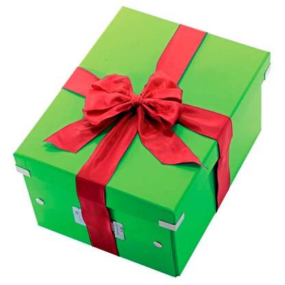 Artikelbild 2 für LEITZ Click & Store Aufbewahrungsbox 16,7 l grün 28,1 x 36,9 x 20,0 cm, 1 St., Artikelnummer 916820