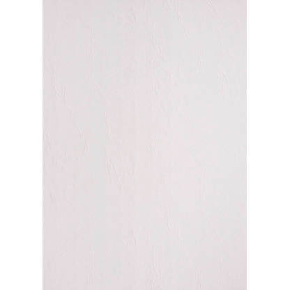 Artikelbild für LMG Rückwände für Bindemappen weiß, DIN A4 240 g/qm, 100 St., Artikelnummer 541896