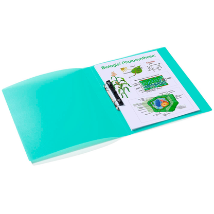 Artikelbild 3 für HERMA Ringbuch 2-Ringe hellgrün 3,5 cm DIN A4, 1 St., Artikelnummer 650487