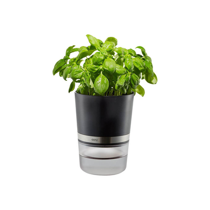 Artikelbild 5 für GEFU® Übertopf Botanico Metall, Ø 14,2 cm schwarz rund, 1 St., Artikelnummer 626501