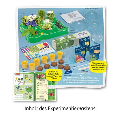 Artikelbild 4 für KOSMOS Experimentierkasten Mein erstes Gewächshaus mehrfarbig, Artikelnummer 820557