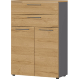 Artikelbild 1 für GERMANIA Aktenschrank Agenda Home, 4233-564 grafit, grandson-eiche 1 Fachboden 80,0 x 40,0 x 120,0 cm, Artikelnummer 121634