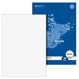 Artikelbild 1 für Staufen® Briefblock DIN A4 blanko, 1 Block, Artikelnummer 305427