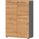 Artikelbild 1 für GERMANIA Aktenschrank Agenda Home, 4232-564 grafit, grandson-eiche 2 Fachböden 80,0 x 40,0 x 120,0 cm, Artikelnummer 121667