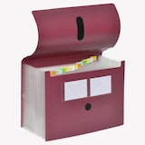 Artikelbild 1 für FolderSys Fächermappe 12 Fächer rot, 1 St., Artikelnummer 642082